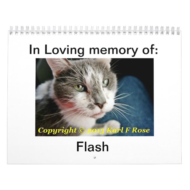 Calendário impresso costume do gato (Capa)