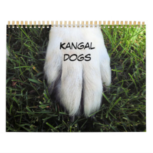 Calendário Impresso Personalizado