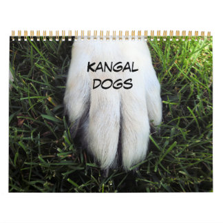 Calendário Impresso Personalizado