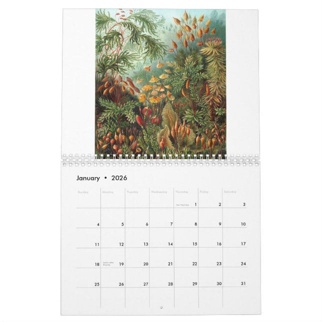 Calendário Impressões de Ernst Haeckel (Jan 2026)