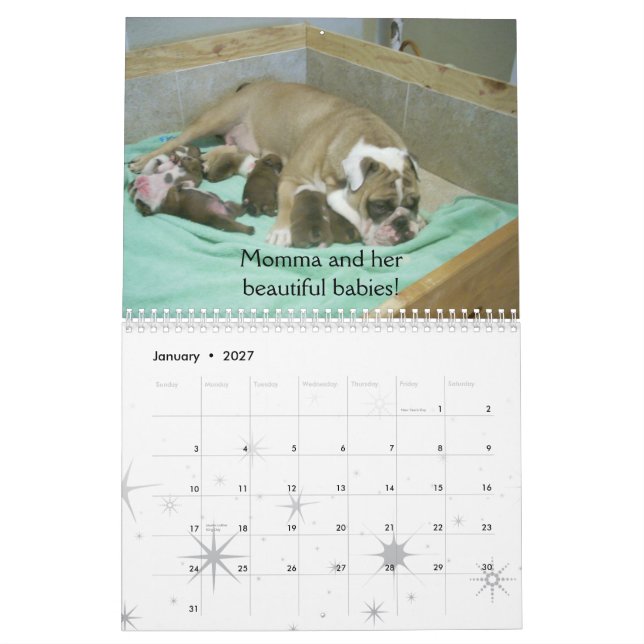 Calendário inglês 2010 do buldogue (Jan 2027)