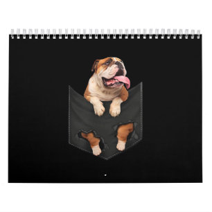Calendário Inglês Bulldog Nos Seus Pocket Dogs
