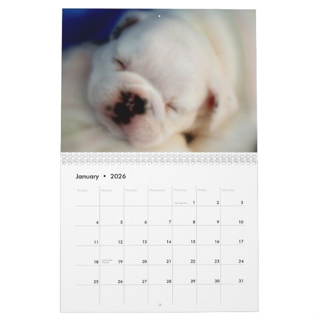Calendário inglês dos filhotes de cachorro 2013 do (Jan 2026)