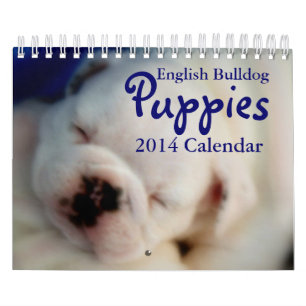 Calendário inglês dos filhotes de cachorro 2014 