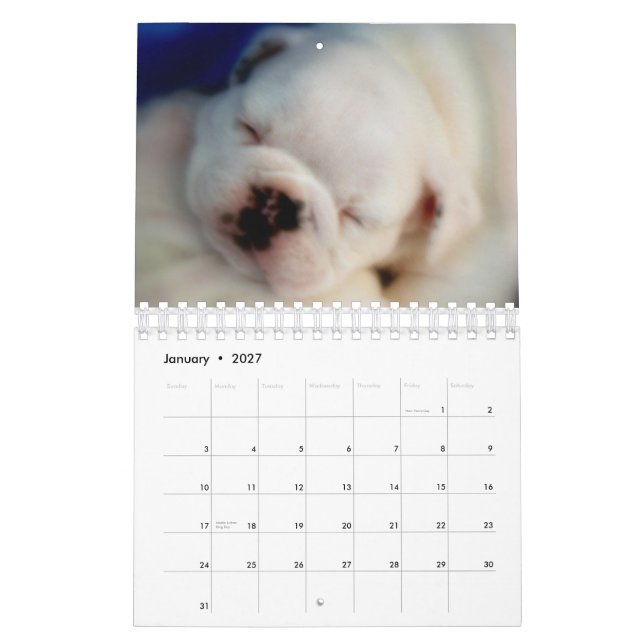 Calendário inglês dos filhotes de cachorro 2015 do (Jan 2027)
