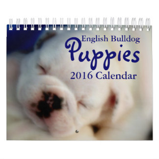 Calendário inglês dos filhotes de cachorro 2016 do