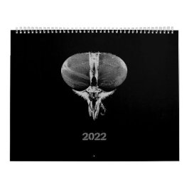 Calendário Insetos minimalistas de preto e branco - Insetos 2