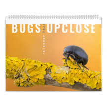 INSETOS UPCLOSE 2021