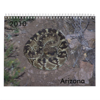 Calendário Instantâneos