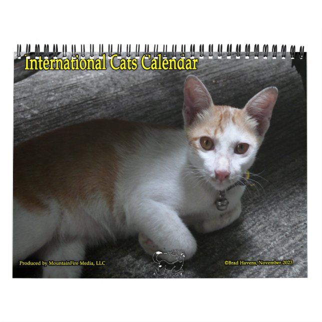 Calendário Internacional dos Gatos (Capa)