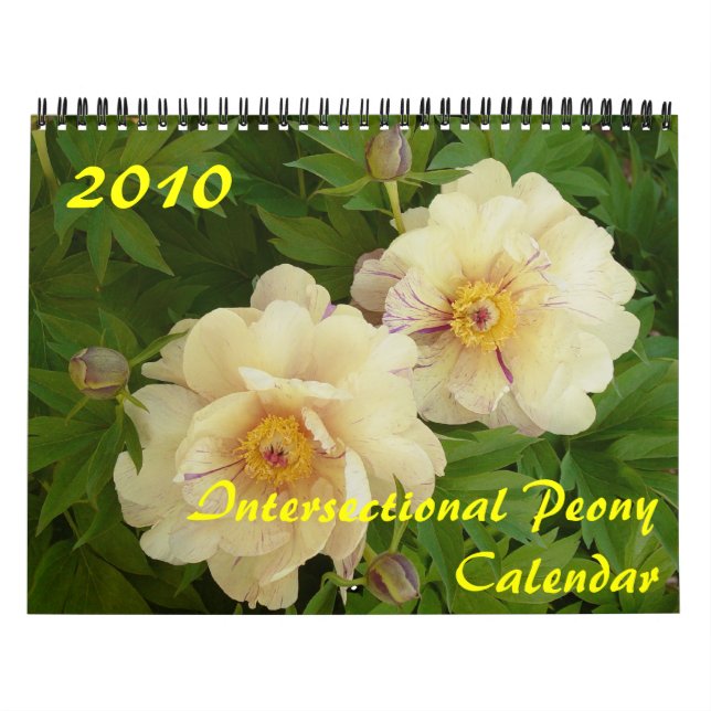 Calendário Interseccional de Paz 2010 (Capa)
