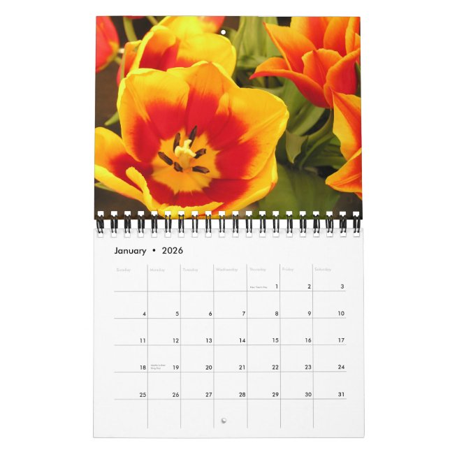 Calendário irlandês do festival da tulipa (Jan 2026)