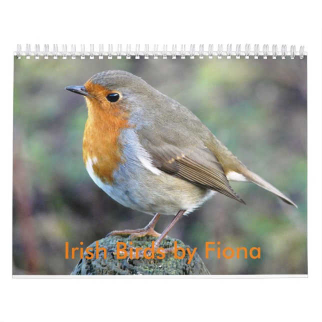 Calendário irlandês dos pássaros (Capa)