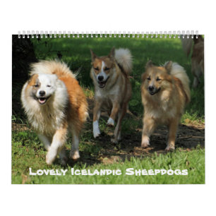 Calendário IslandêsSheepdog 001