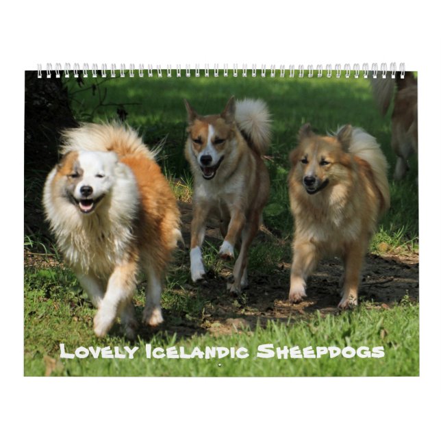 Calendário IslandêsSheepdog 001 (Capa)