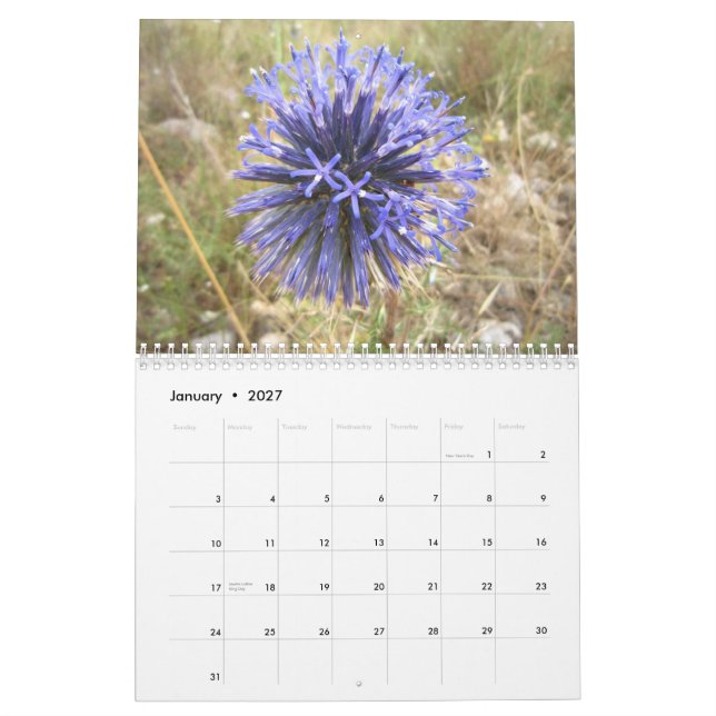 Calendário Israel (Jan 2027)