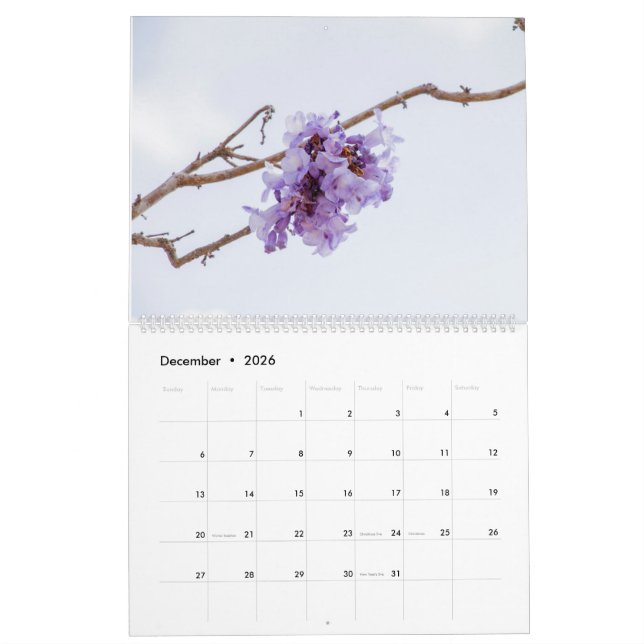 Calendário Jacaranda Flower Calendar (Dez 2026)