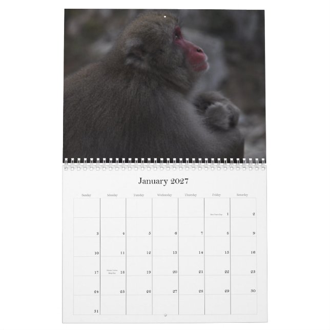 Calendário japonês dos Macaques (Jan 2027)