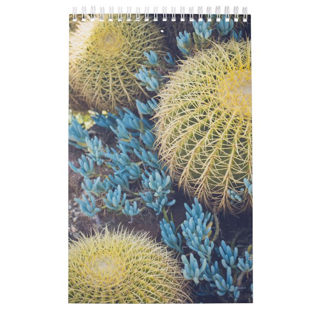 Calendário Jardim Boho Cactus (Capa)