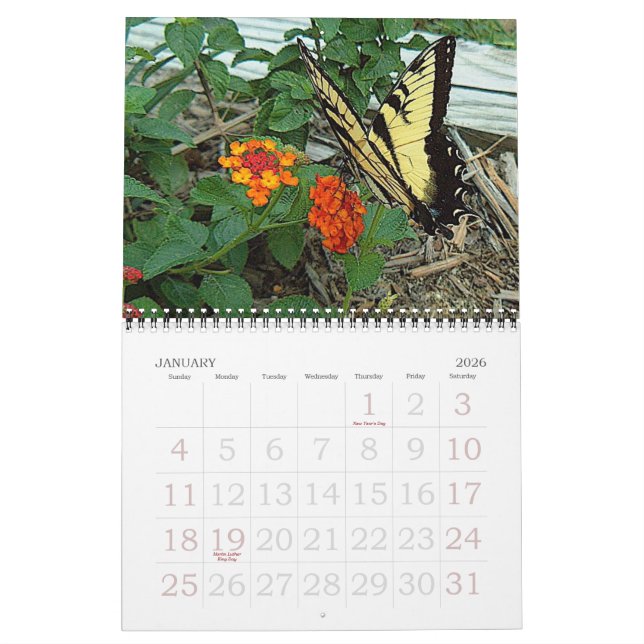 Calendário Jardim de Donna 2007 (Jan 2026)