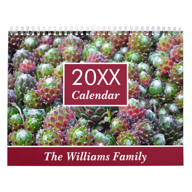 Calendário Jardim de sucessos 20XX personalizado mensalmente (Capa)