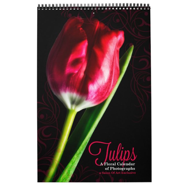 Calendário Jardim de Tulipas de Comprimento de Cheio Vibrante (Capa)