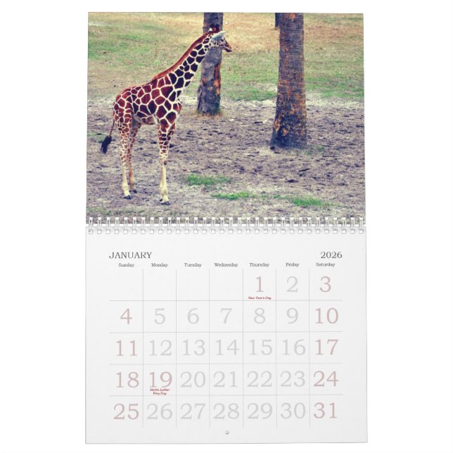Calendário Jardim zoológico e jardins de Jacksonville (Jan 2026)