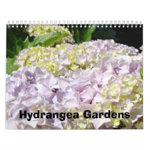 Calendário Jardins azuis do Hydrangea do rosa da fotografia