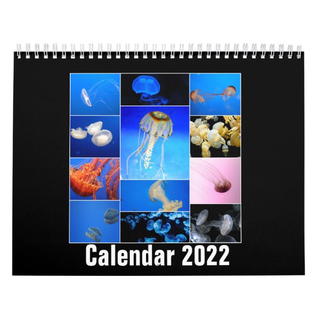 Calendário Jellyfish Custom Printed Calendar 2022 (Capa)