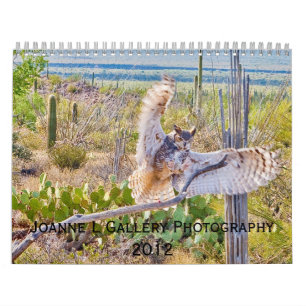 Calendário Joanne L Gallery Fotografia 2012