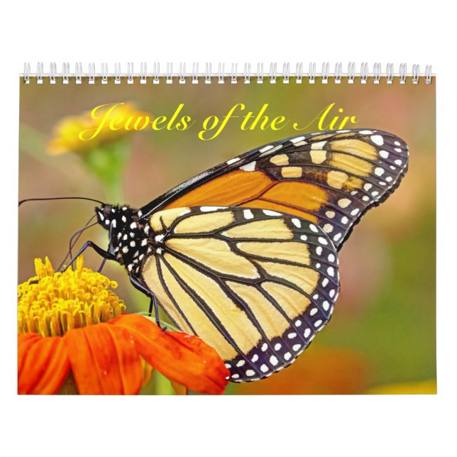 Calendário - Joias do Ar (Capa)