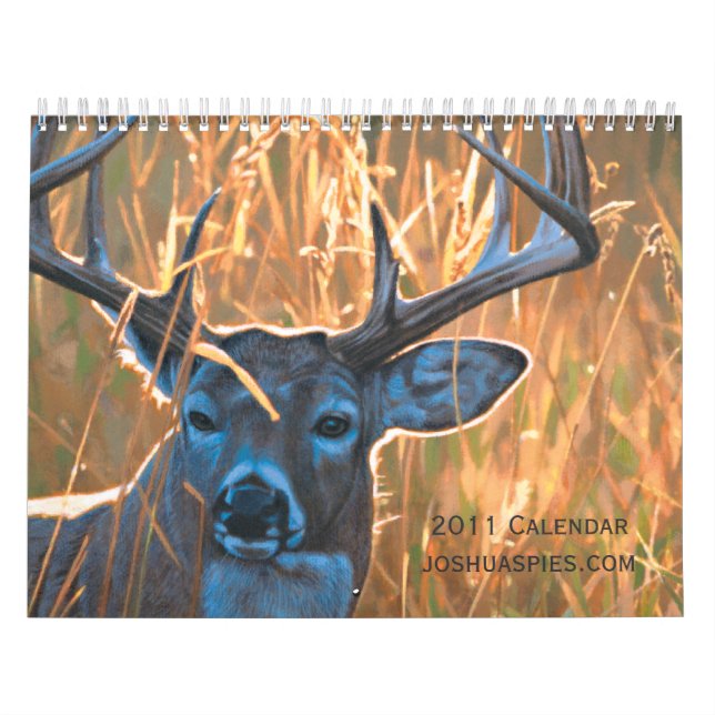 Calendário Joshua Spies 2011 (Capa)