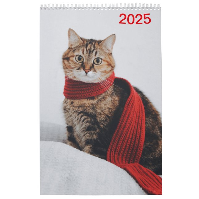 Calendário Kalender 2025 Cat Lover Katzen (Capa)