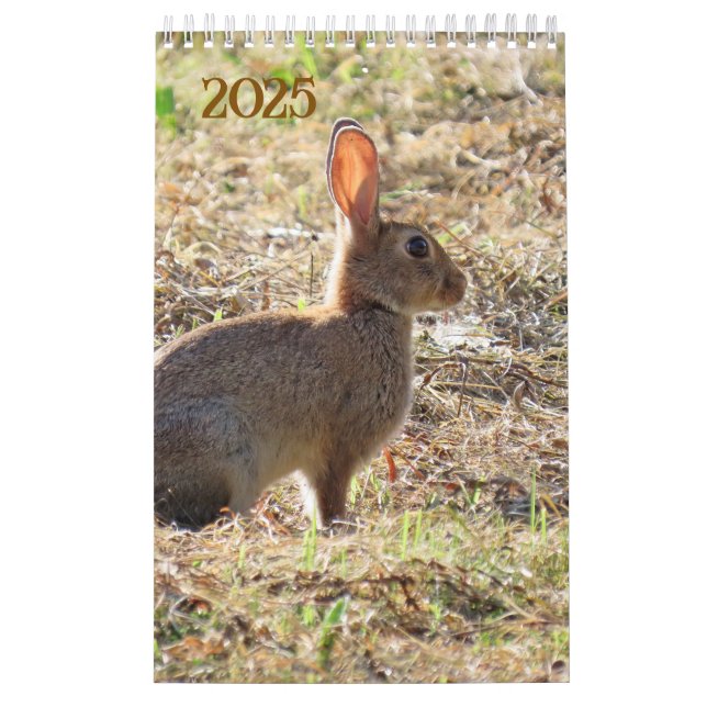 Calendário Kalender met afbeeldingen van de natuur (Capa)