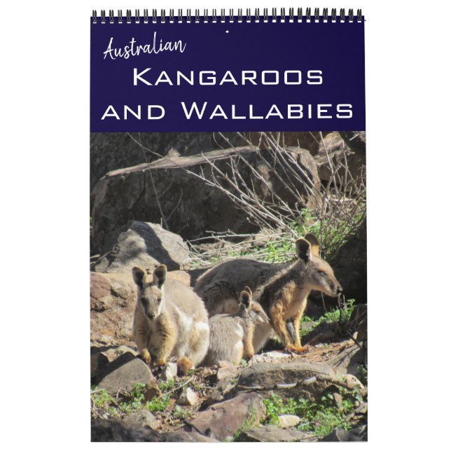 Calendário kangaroos wallabies 2025 (Capa)