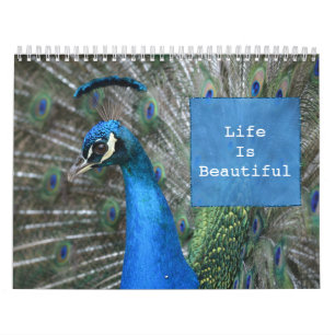 Calendário Kauai Peacock Feather