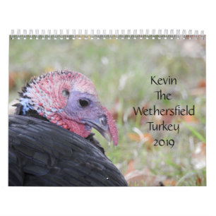 Calendário Kevin The Turkey - Old Wethersfield, CT