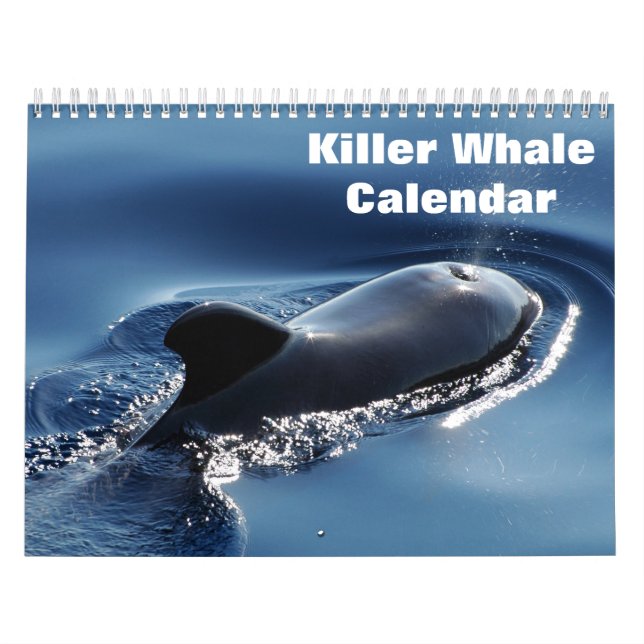 Calendário Killer Whale Orcas 2025 (Capa)