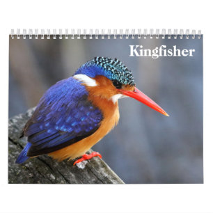 Calendário Kingfisher 2025