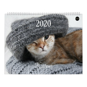 Calendário Kitten HAMbyWG