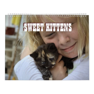 Calendário Kittens 2022 Katzen Kalender