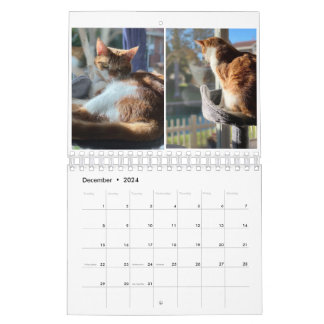 Calendário Kitty Cats