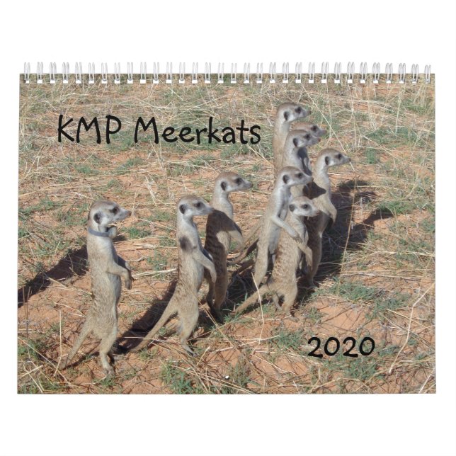 Calendário KMP Meerkats - 2020 (Capa)