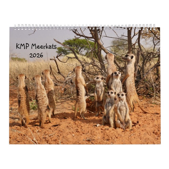 Calendário KMP Meerkats 2026 (Capa)