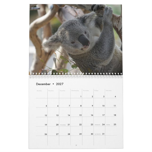 Calendário Koala (Dez 2027)