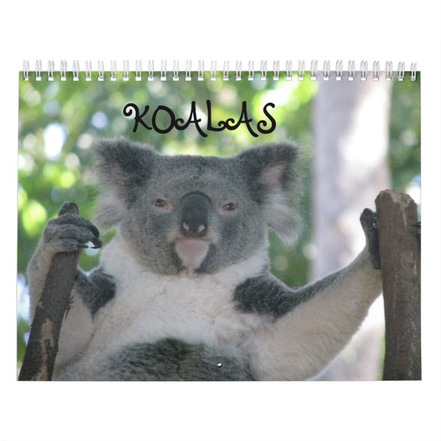 Calendário Koala (Capa)