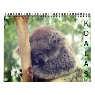 Calendário koalas 2025
