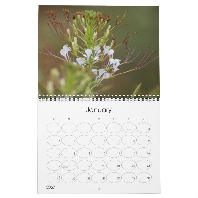 Calendário Kruger National Park - seringa (Jan 2027)