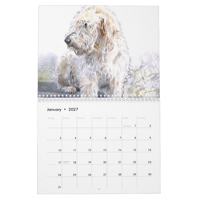 Calendário Labradoodles (Jan 2027)