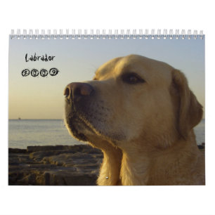 Calendário Labrador 2009